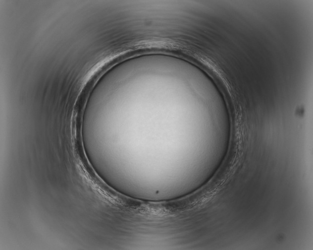 X0000116320983200912151238