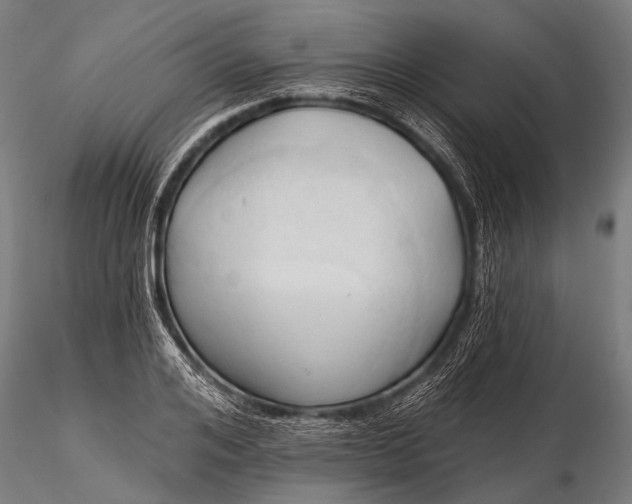 X0000116320984200912151238