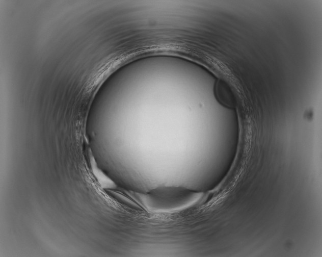 X0000116320985200912151238