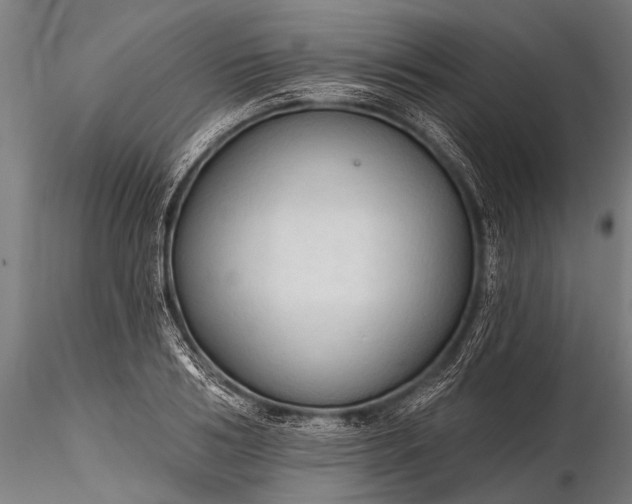 X0000116320986200912151238