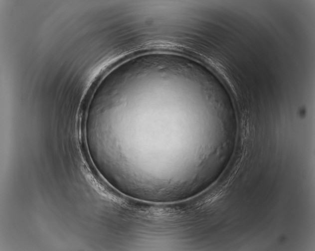 X0000116320987200912151238