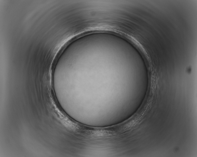 X0000116320988200912151238