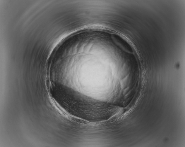 X0000116320989200912151238