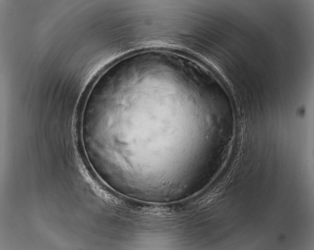 X0000116320991200912151238