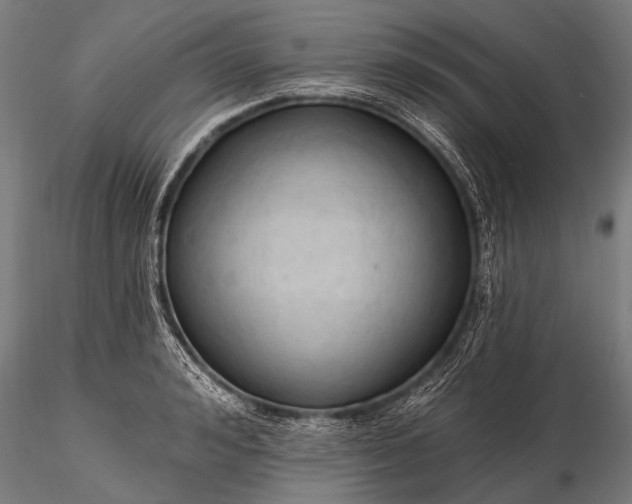 X0000116320992200912151238