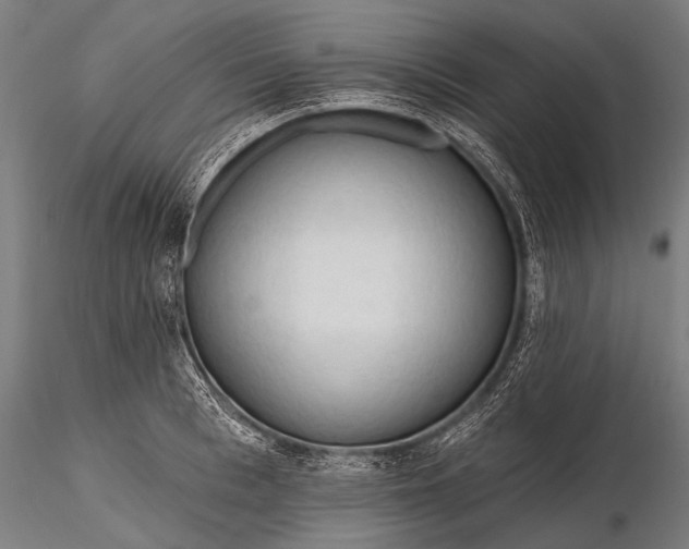 X0000116320993200912151238