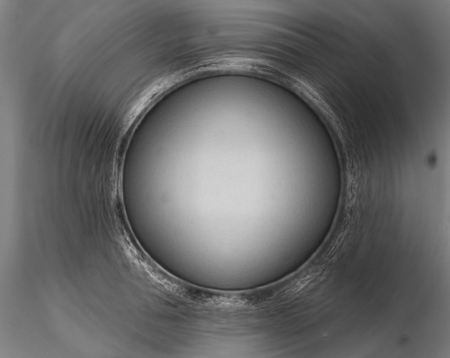 X0000116320994200912151238