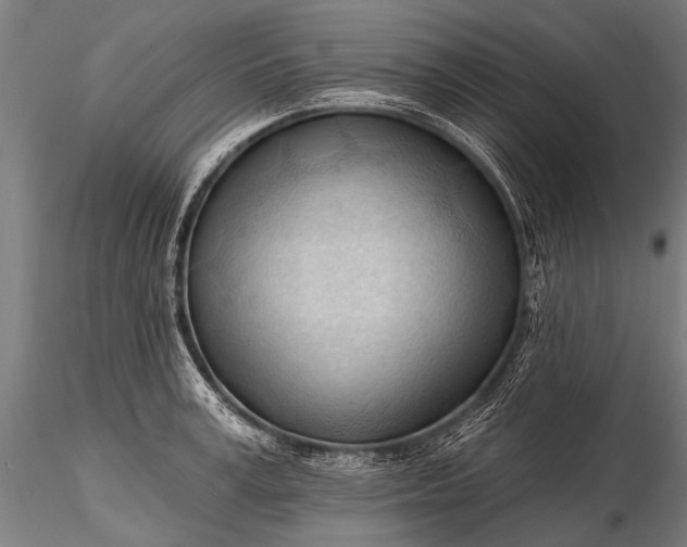 X0000116320995200912151238