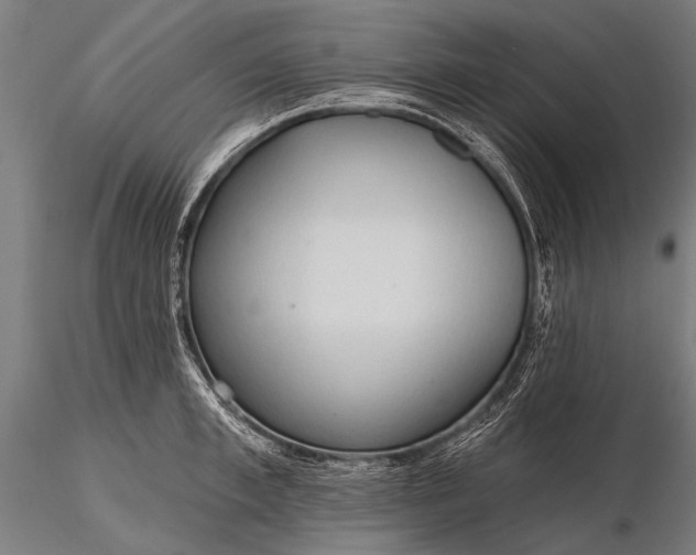 X0000116320997200912151238