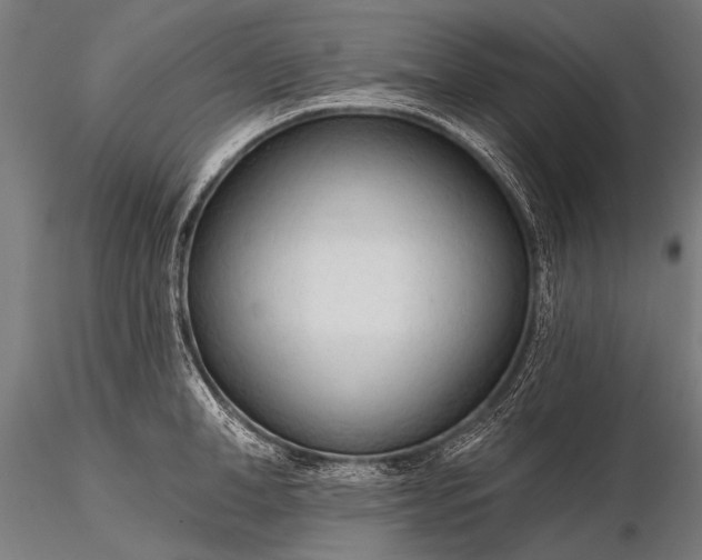 X0000116320998200912151238