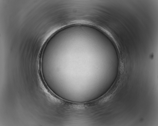 X0000116320999200912151238