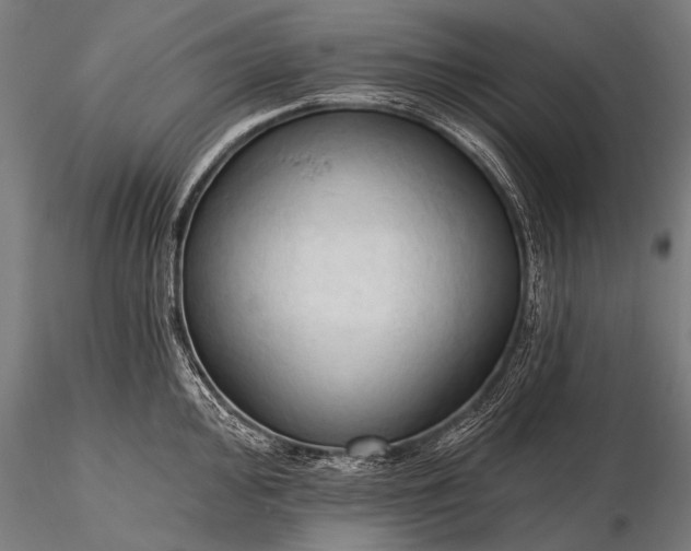 X0000116321000200912151238