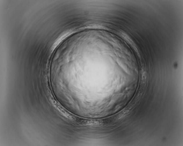 X0000116321002200912151238