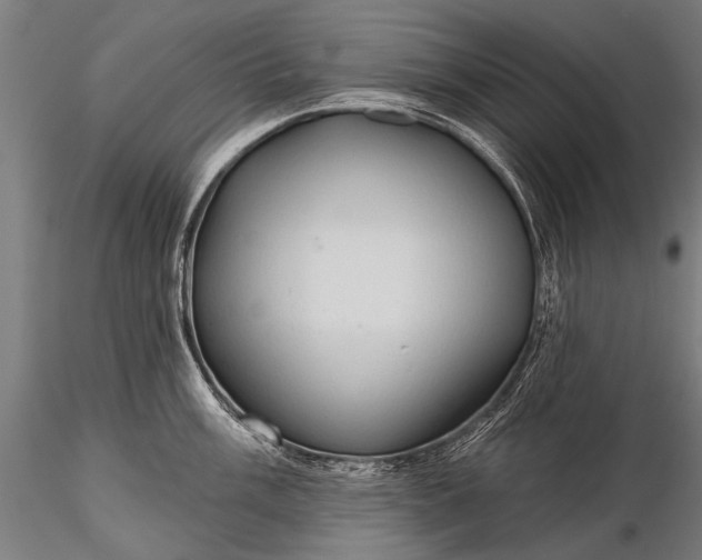 X0000116321003200912151238