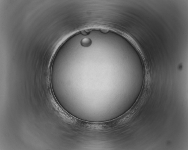 X0000116321004200912151238