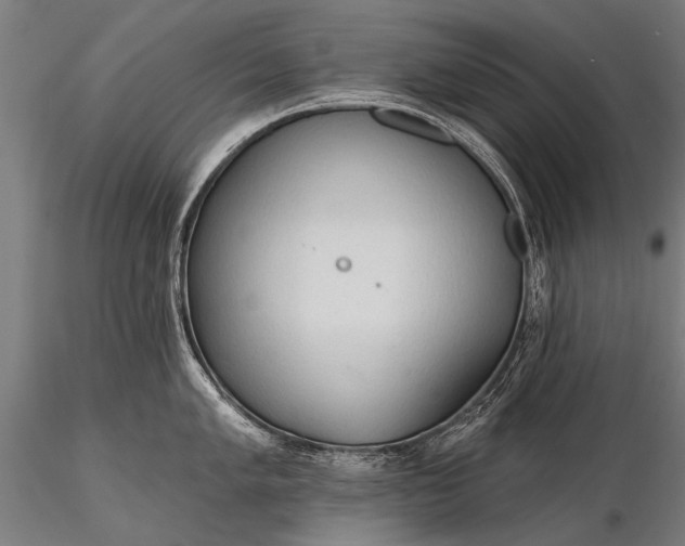 X0000116321005200912151238