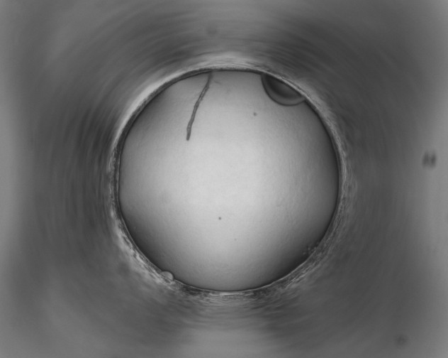 X0000116321008200912151238