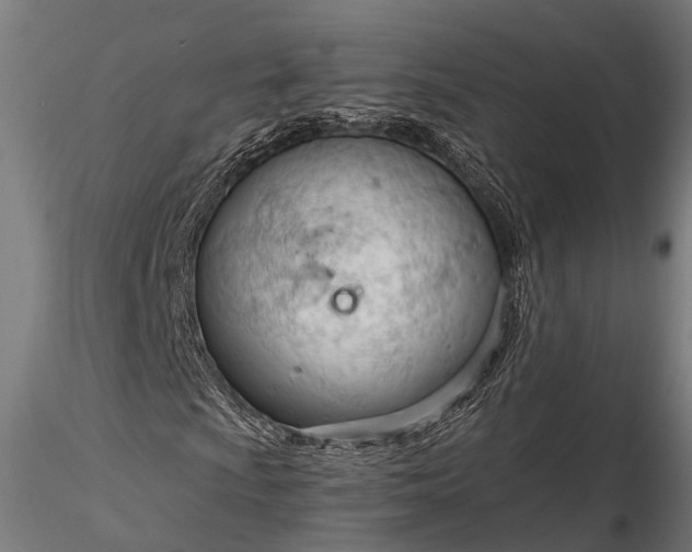 X0000116321009200912151237