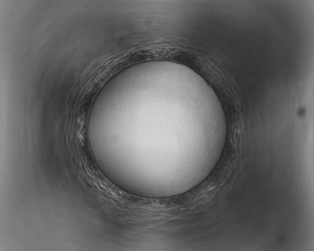 X0000116321010200912151237