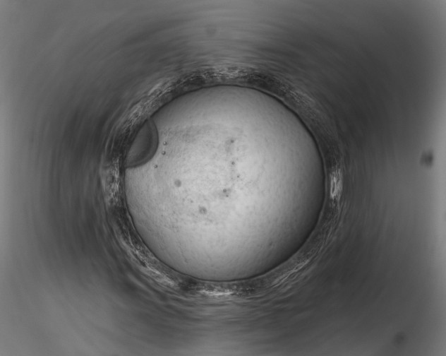 X0000116321011200912151237