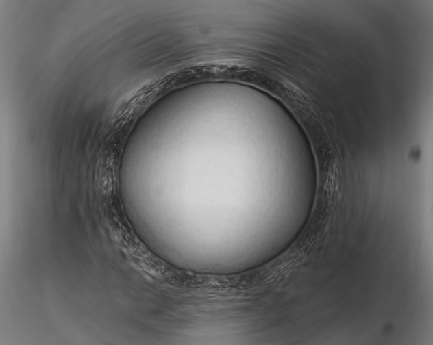 X0000116321014200912151237