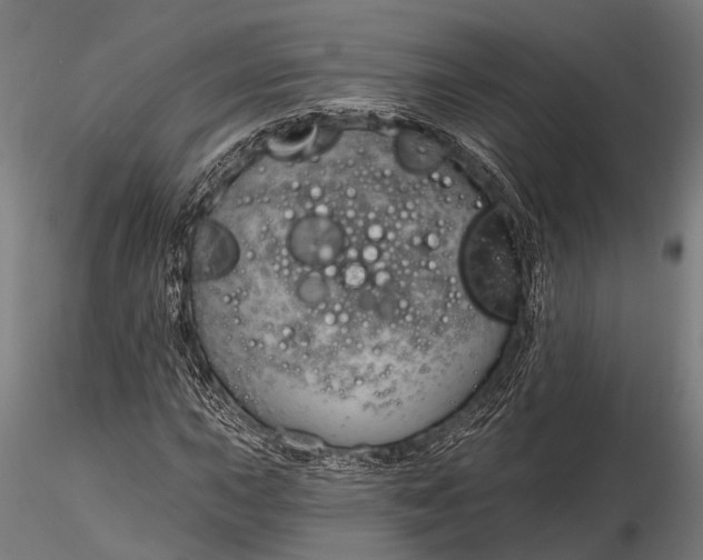 X0000116321015200912151237