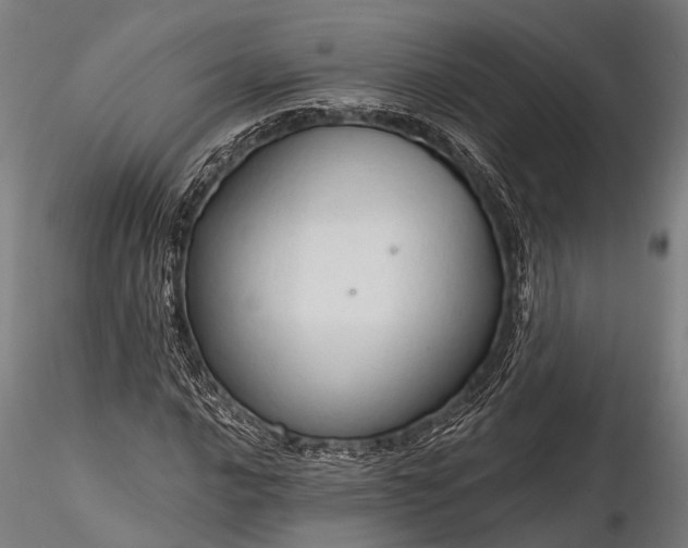 X0000116321016200912151237