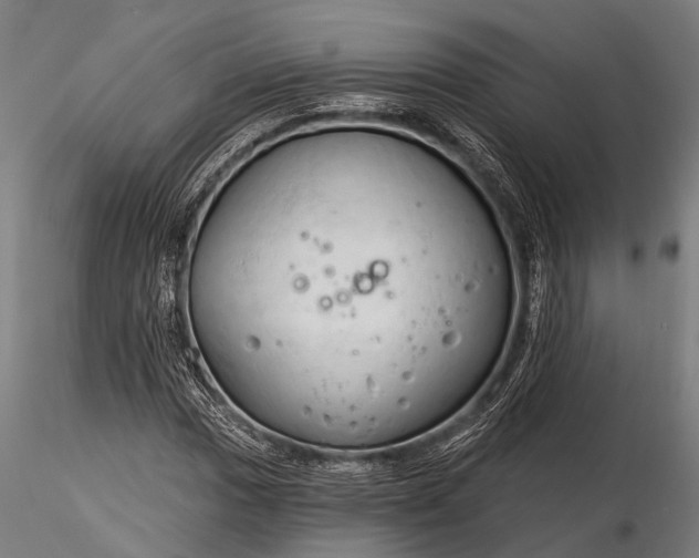 X0000116321017200912151237