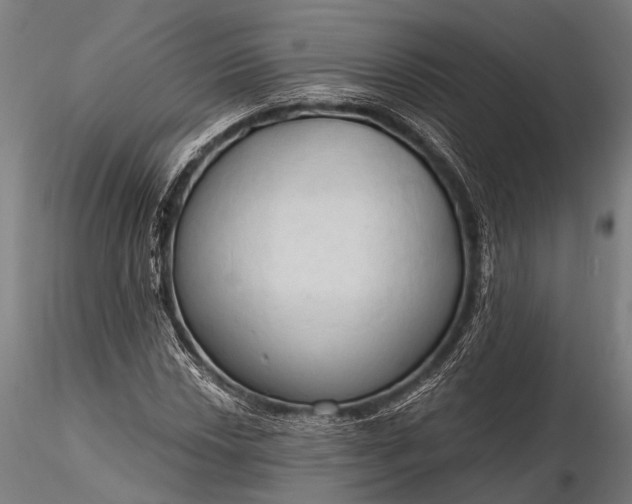 X0000116321018200912151237