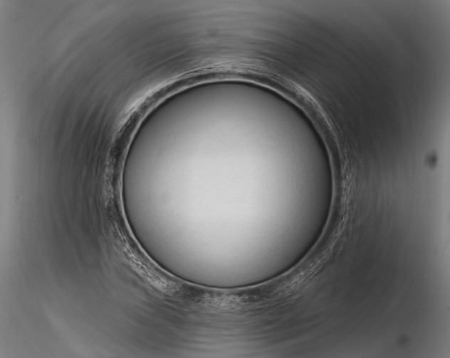 X0000116321019200912151237