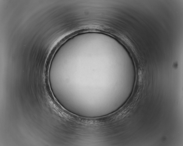 X0000116321020200912151237