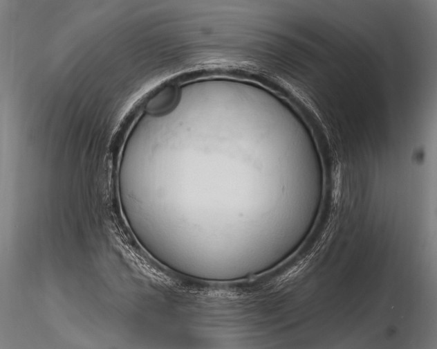 X0000116321021200912151237