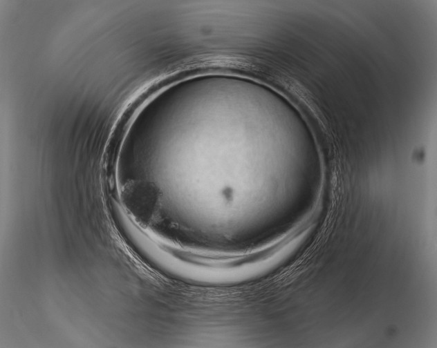 X0000116321024200912151238