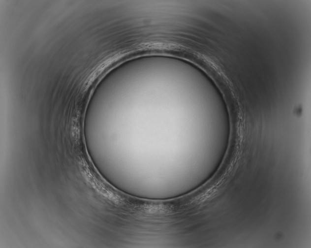 X0000116321025200912151238