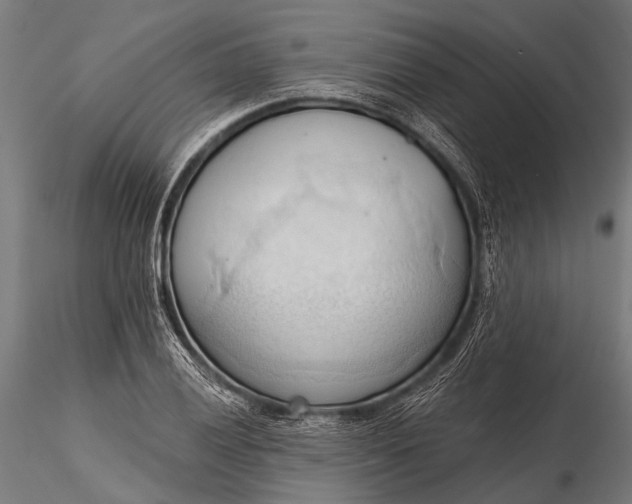 X0000116321028200912151238