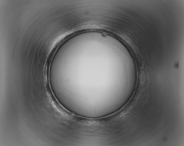 X0000116321030200912151238