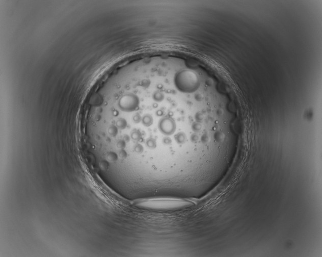 X0000116321031200912151238