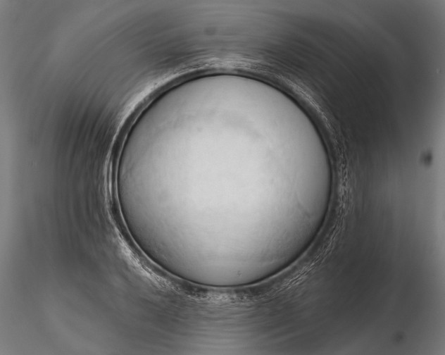 X0000116321032200912151238