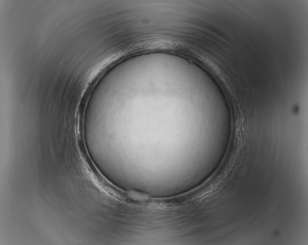 X0000116321034200912151238