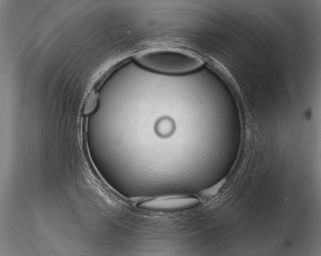 X0000116321035200912151238