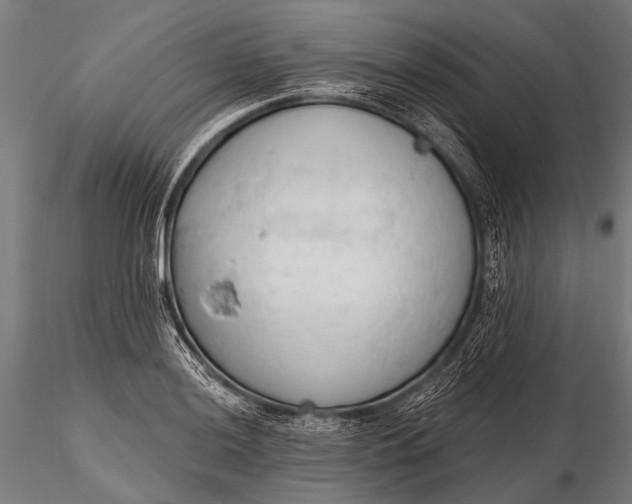 X0000116321036200912151238