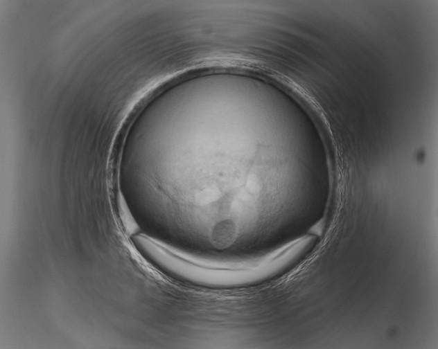 X0000116321037200912151238