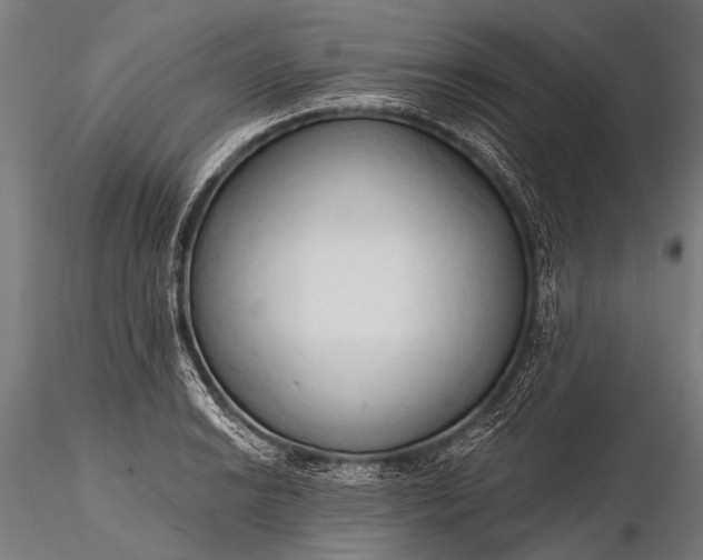 X0000116321038200912151238