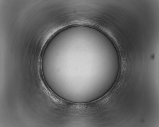 X0000116321040200912151238