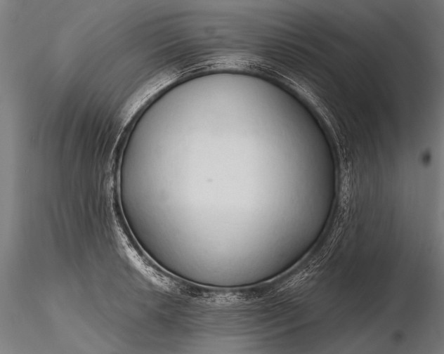 X0000116321042200912151238