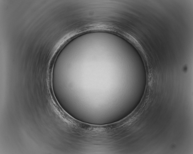 X0000116321043200912151238