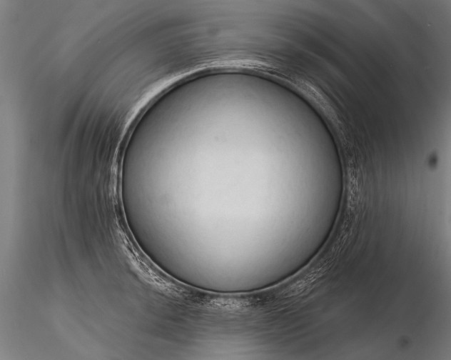 X0000116321044200912151238