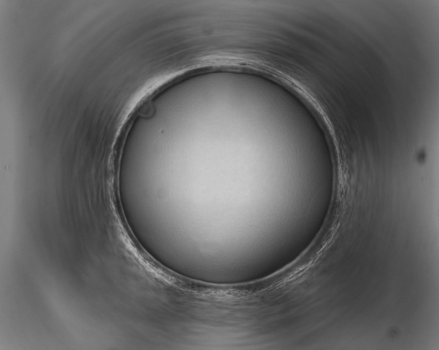 X0000116321045200912151238