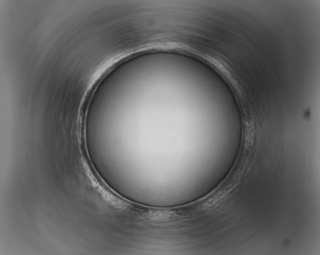 X0000116321046200912151238