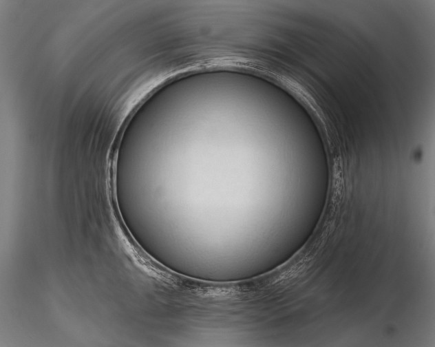 X0000116321047200912151238